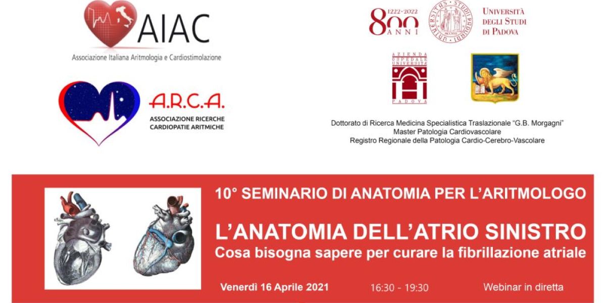 L'anatomia dell'atrio sinistro – 10° seminario di anatomia per l'aritmologo