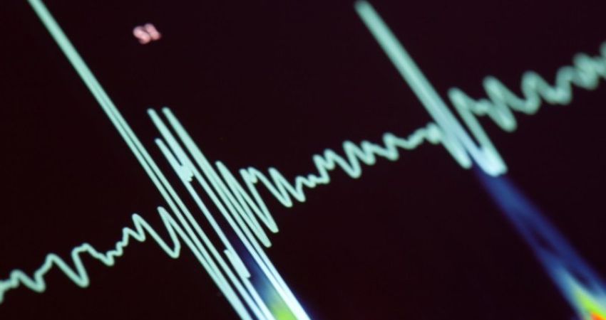 GUCH: chi sono, quanti sono e come devono essere trattati